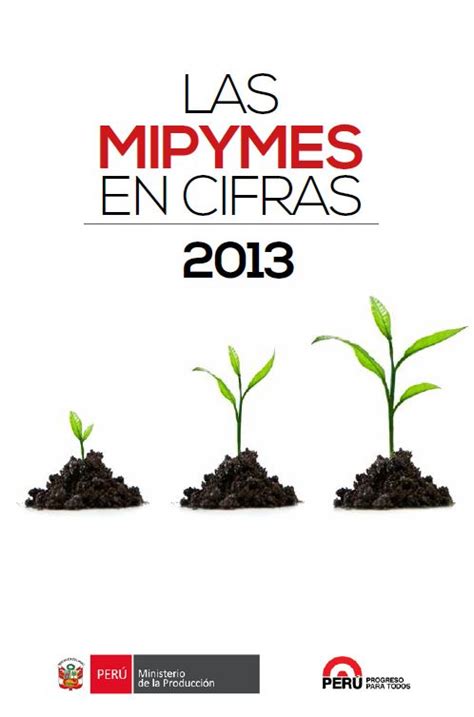 Las Mipyme En Cifras Observatorio Producempresarial