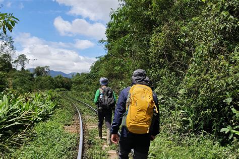 Copel Preserva 25 Mil Hectares De Floresta Nativa Em Todo O Brasil