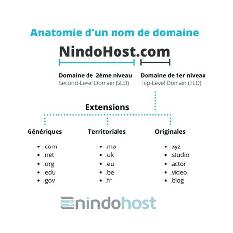 Comment choisir un nom de domaine 5 critères importants Nindohost