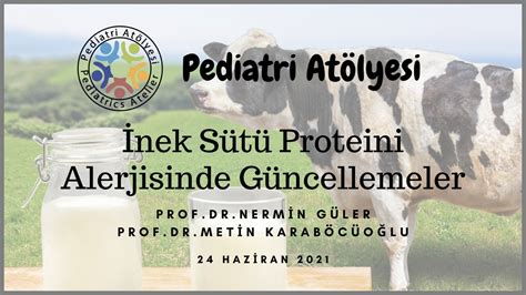 İnek Sütü Proteini Allerjisinde Güncellemeler Prof Dr Nermin Güler