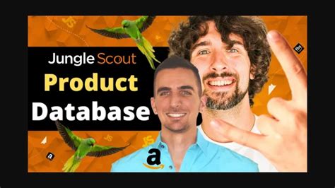 How To Use The Jungle Scout Product Database For Product Research