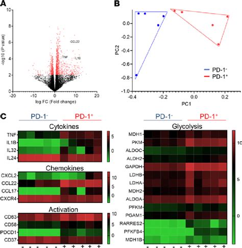 Differential Gene Expression Of Ex Vivo RA Patient PD 1 And PD 1 B