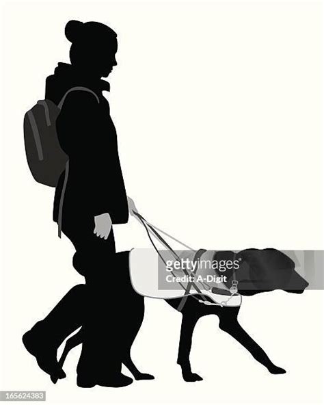 Guide Dog Silhouette Photos And Premium High Res Pictures Getty Images