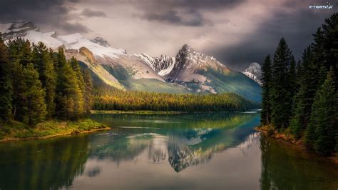 Kanada Lasy Drzewa Jezioro Maligne Park Narodowy Jasper Prowincja