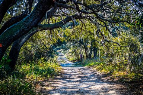 12 Best Hikes In Orlando You Shouldn T Miss Artofit