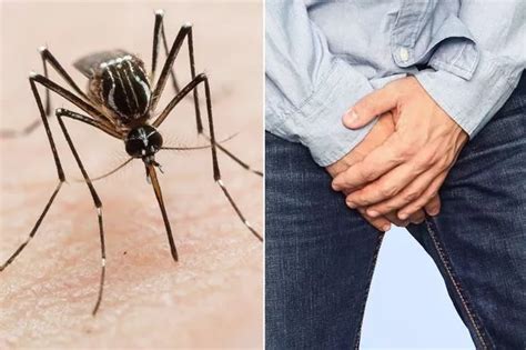 Broken Penis Cases At Record High And Certain Sex Position May Be To Blame Mirror Online