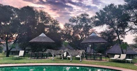 Things To Do In Muldersdrift 15 Of The Best Daddys Deals