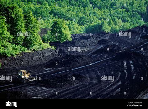 Large Bulldozer Mining A Dam Of Anthracite Hard Coal Open Pit Or