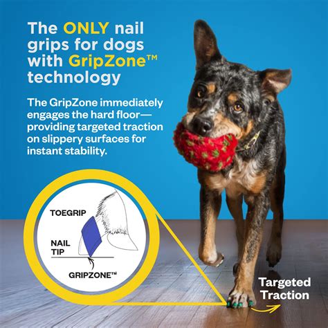 Dr Buzbys Large Toegrips For Dogs Instant Traction On Woodhardwood