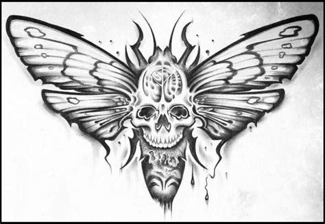 Skull Moth Moth Tattoo Design Sketches Moth Tattoo