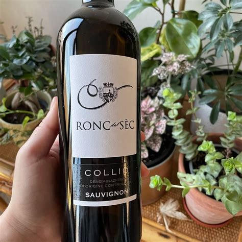 Ronc Dal S C Sauvignon Review Abillion