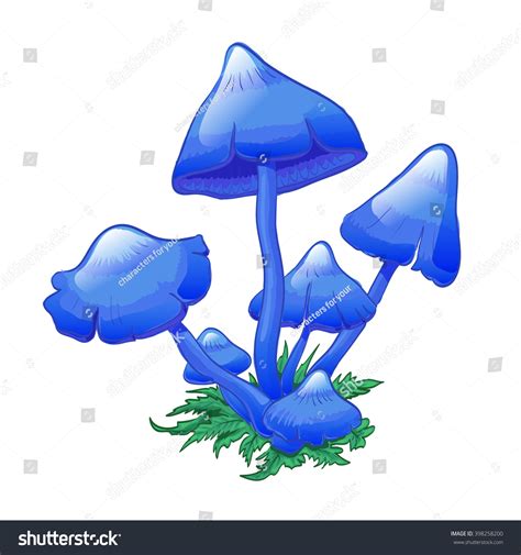 Blue Mushrooms Entoloma Hochstetteri Bunch On Stock Vector (Royalty ...