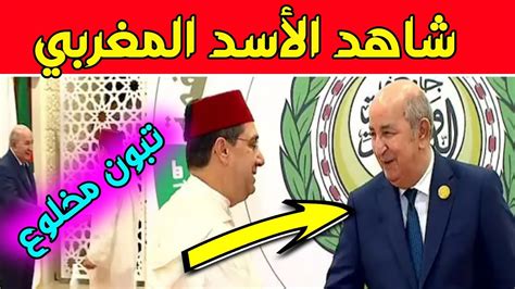 عاجل 🔥 بوريطة الأسد المغربي يكشف المضايقات التي تعرض لها الوفد المغربي