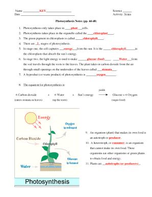 Photosynthesis Notes Form Fill Out And Sign Printable PDF Template