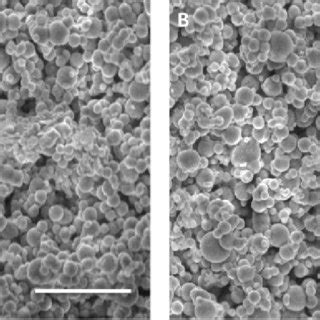 Sem Image Of Nano Macroporous Bioactive Glass A Before And B After