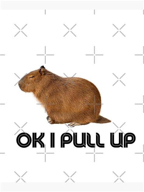 Ok I Pull Up Capybara Meme Poster For Sale By Snwnotfound Redbubble