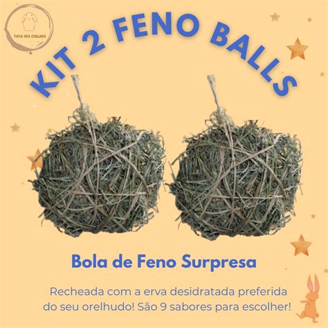 Kit 2 Feno Balls Brinquedo Bola De Feno Recheada Erva Desidratada