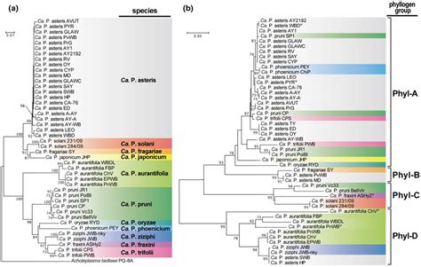 Phylogenetic comparison of the phyllogen family. (a) and (b)... | Download Scientific Diagram