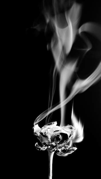 Humo De Una Flor En Blanco Y Negro Foto Premium