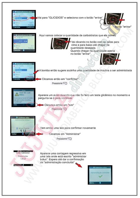 Jujuba Diabética Diabetes Tipo 1 e nossa família Apostila de Bomba