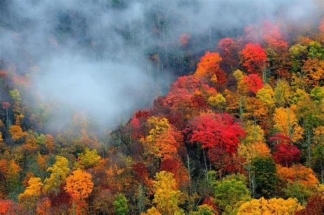 Pigeon Forge Smoky Mountains Tennessee Fall Colors Season Trees