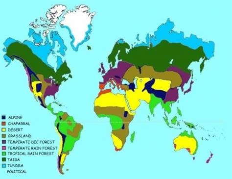 Temperate Rainforest Biome Map