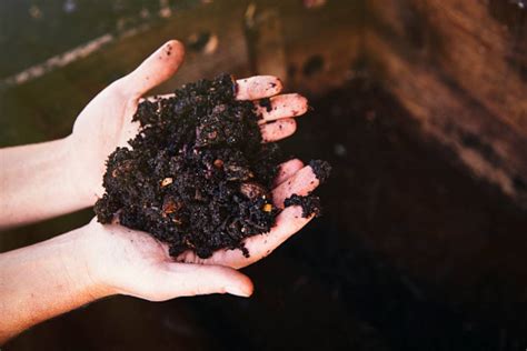 Olor A Tierra Mojada Qu Es Por Qu Se Produce Y Por Qu Nos Gusta