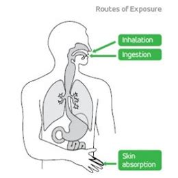 Entry To The Body GCG Risk Management