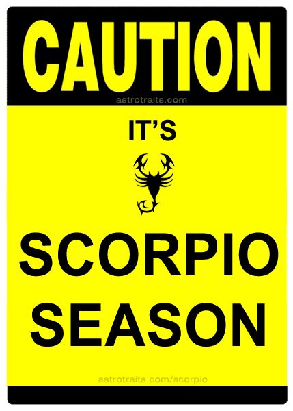 SCORPIO SEASON Memes - Top 13+ Memes about Scorpio Season