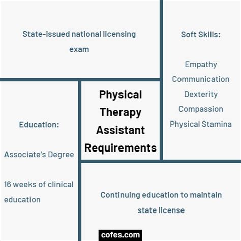 Physical Therapy Assistant Job Description Salary Duties More 2024