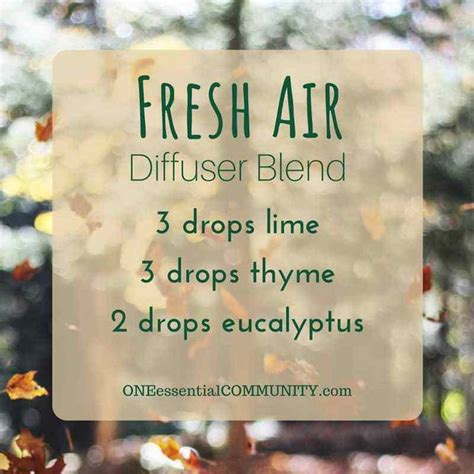 Best Fall Essential Oil Blends For Your Diffuser Free Printable