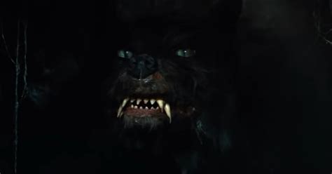 The 12 Scariest Werewolf Designs and Effects in Horror Movies