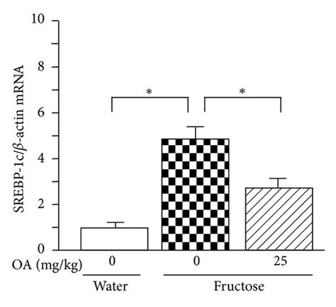 Hepatic Expression Of MRNAs Encoding Sterol Regulatory Element Binding