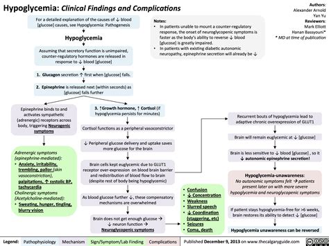 Hypoglycemia Clinical Findings And Complications Calgary Guide