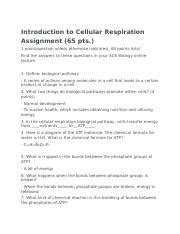 Introduction To Cellular Respiration Assignment Biology Docx