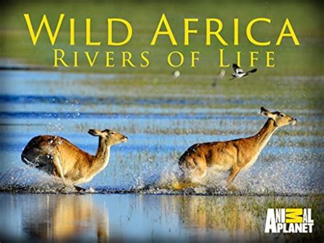 Wild Africa Rivers Of Life Episode Tv Episode Quotes