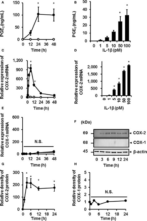 Figure From Non Transcriptional And Translational Function Of