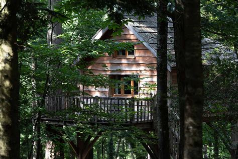 Cabane Panda Les Cabanes De Labrousse