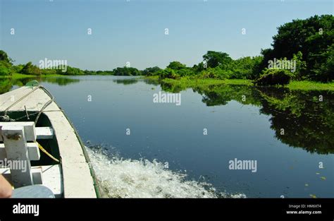 MANAUS, BR - CIRCA AUGUST 2011 - Cruise boat on the Amazon river, near ...