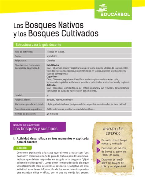 Los Bosques Nativos Y Los Bosques Cultivados