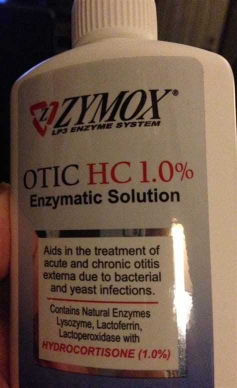 Cat Ear Yeast Infection Home Treatment - onlyvegg