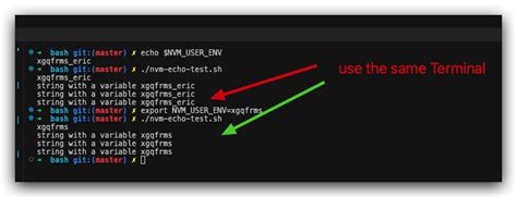 Bash How To Print A String With A Variable By Using Echo Command In The Shell Script Stack