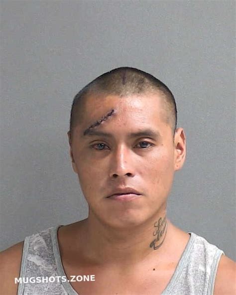 Francisco Amilka Volusia County Mugshots Zone