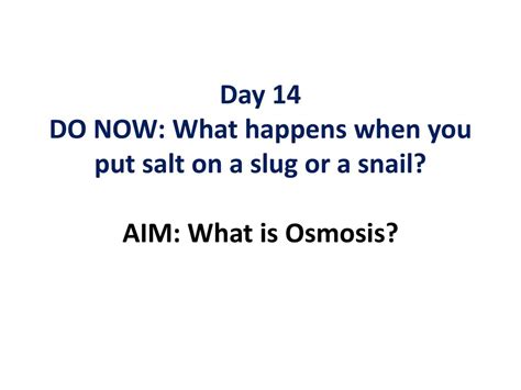 Day 14 Do Now What Happens When You Put Salt On A Slug Or A Snail