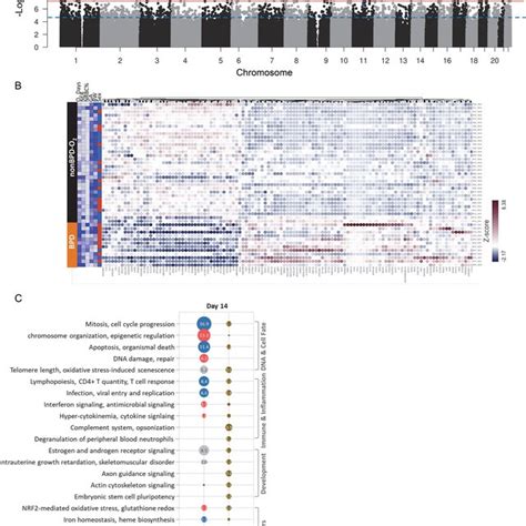 Epigenome Wide Association Study Ewas And Genome Wide Gene Expression