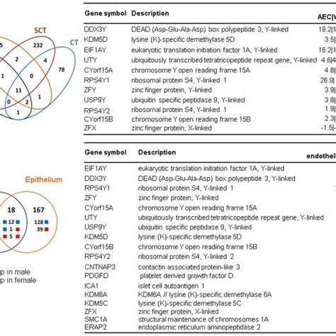 Venn Diagram Depicting The Number Of Sex Regulated Genes Shared Between