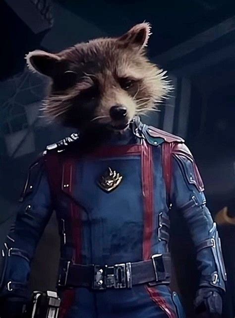 Rocket Guardians Of The Galaxy Vol 3 Gotg 3 In 2023 Rocket