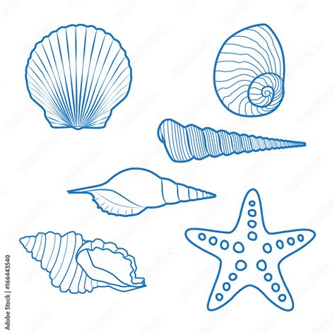 Sea shells and starfish. Blue outline drawing. Stock Vector | Adobe Stock