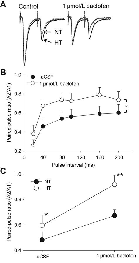 Baclofen Effect On Paired Pulse Stimulation Download Scientific Diagram