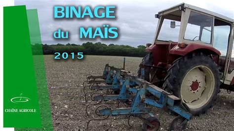 Binage du maïs YouTube